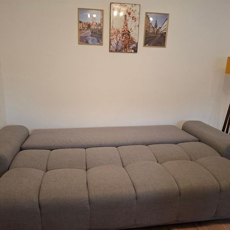 Free Garage In The Center-Delicia 4 Studio! Sibiu Bagian luar foto