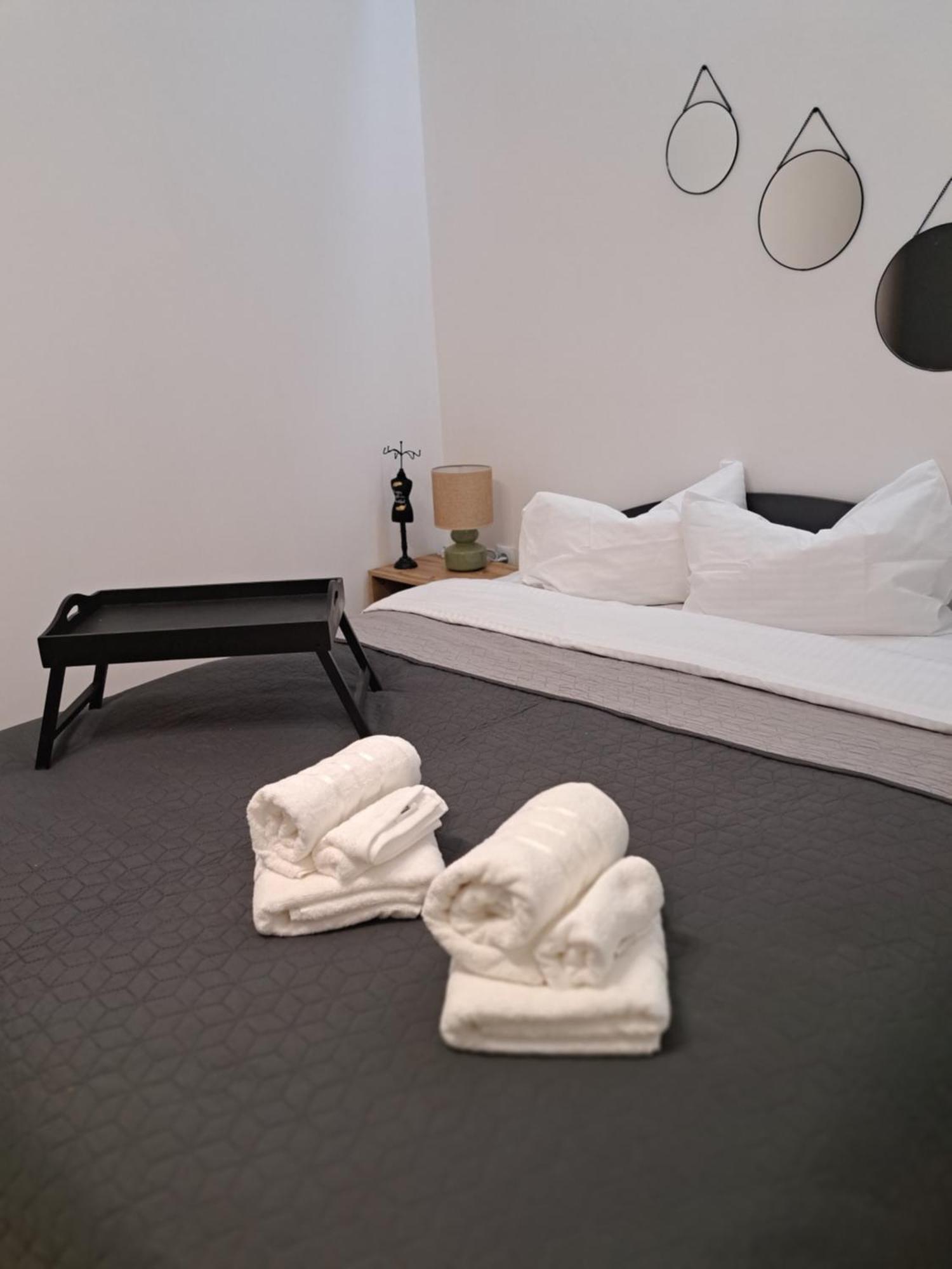 Free Garage In The Center-Delicia 4 Studio! Sibiu Bagian luar foto