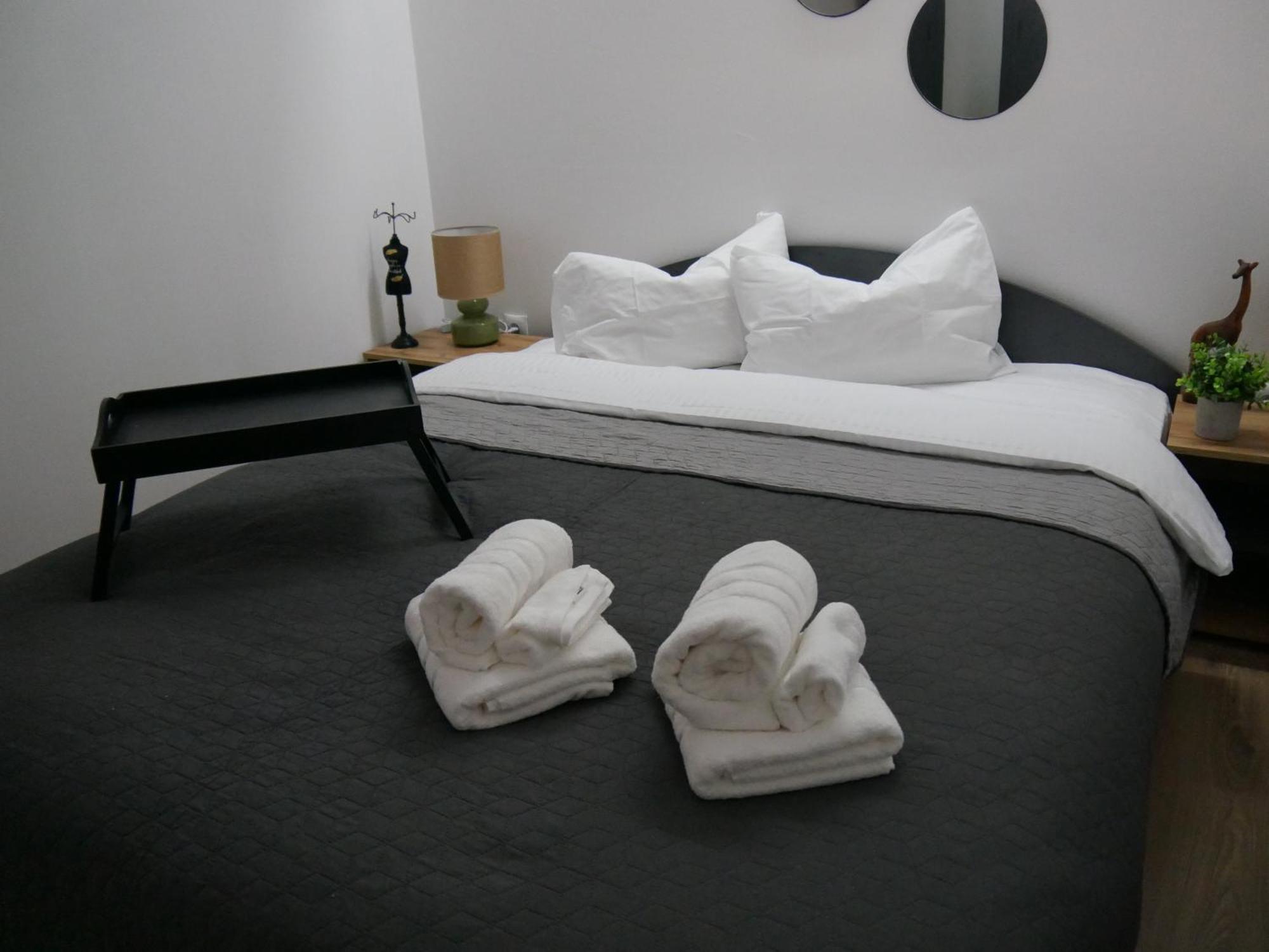 Free Garage In The Center-Delicia 4 Studio! Sibiu Bagian luar foto