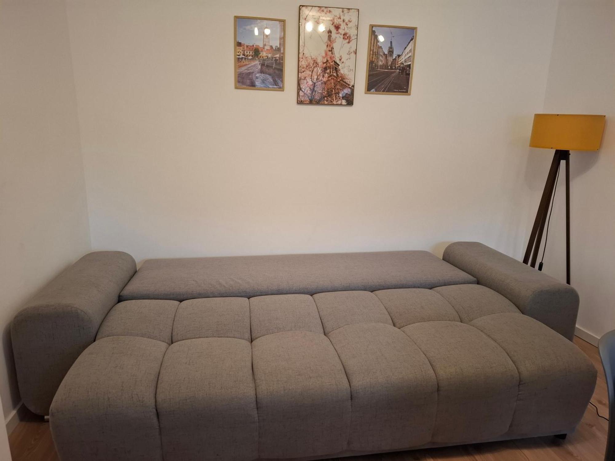 Free Garage In The Center-Delicia 4 Studio! Sibiu Bagian luar foto